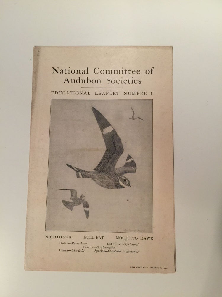 Item #27552 National Committee Of Audubon Scoieties Educational Leaflet Number 1 Nighthawk Bull-Bat Mosquito Hawk. F. E. L. Beal.