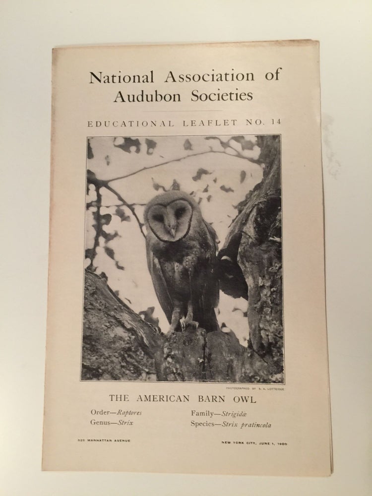 Item #27561 National Committee of Audubon Societies Educational Leaflet Number 14 The American Barn Owl. William Dutcher.