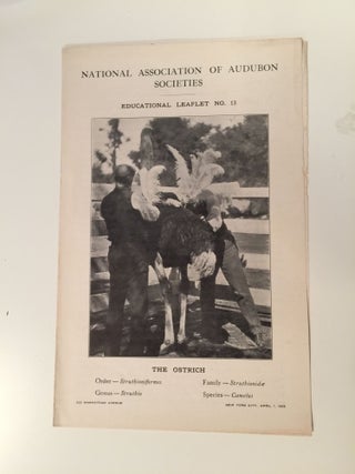 Item #27562 National Committee Of Audubon Societies Educational Leaflet Number 13 The Ostrich....
