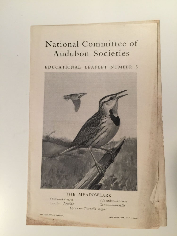 Item #27566 National Committee Of Audubon Societies Educational Leaflet Number 3 The Meadowlark. William Dutcher.