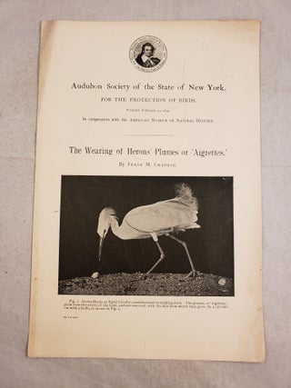 Item #28255 The Wearing of Herons’ Plumes or ‘Aigrettes,’. Frank Chapman