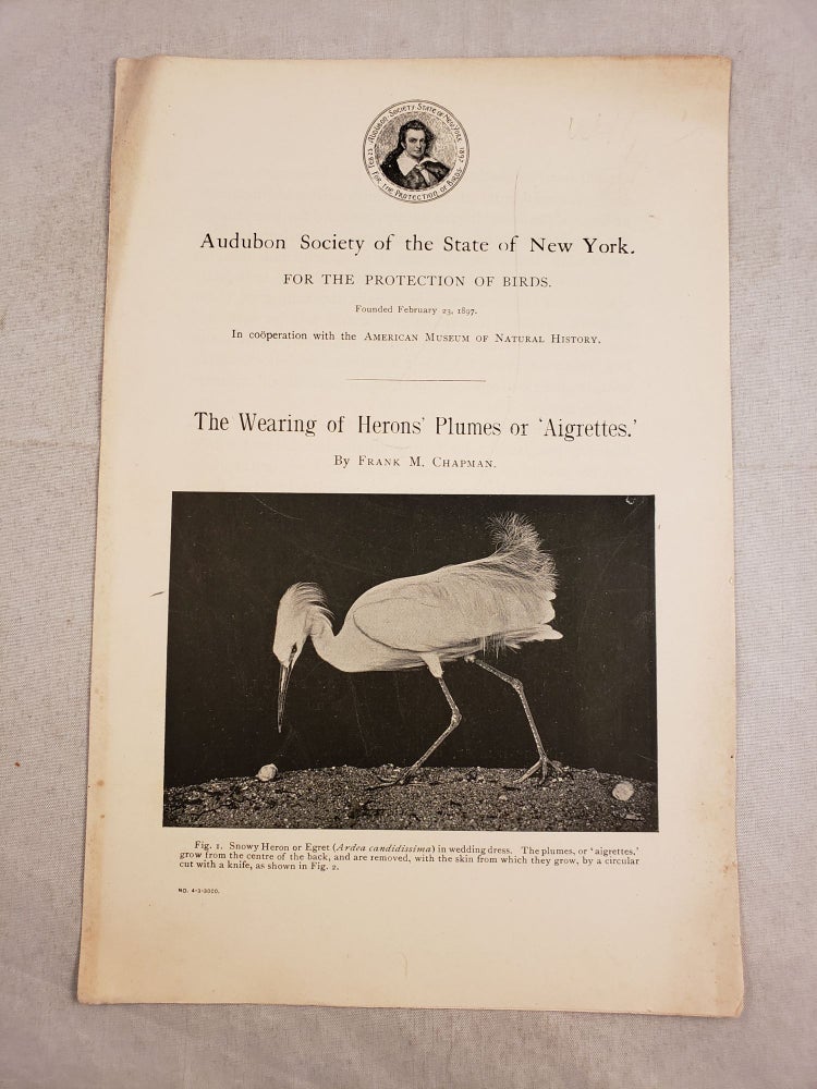 Item #28255 The Wearing of Herons’ Plumes or ‘Aigrettes,’. Frank Chapman.
