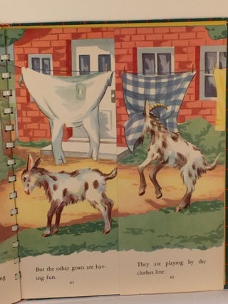 The Flip-flap Book