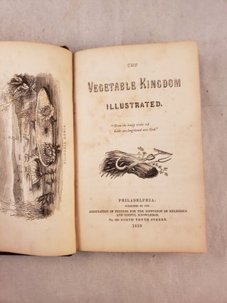 The Vegetable Kingdom Illustrated