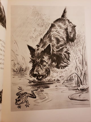 The Morgan Dennis Dog Book (With Some Special Cats)