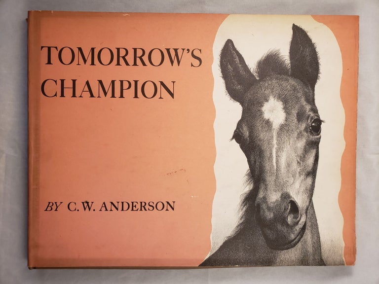 Item #43267 Tomorrow’s Champion. C. W. Anderson.