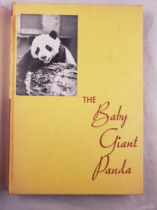 The Baby Giant Panda