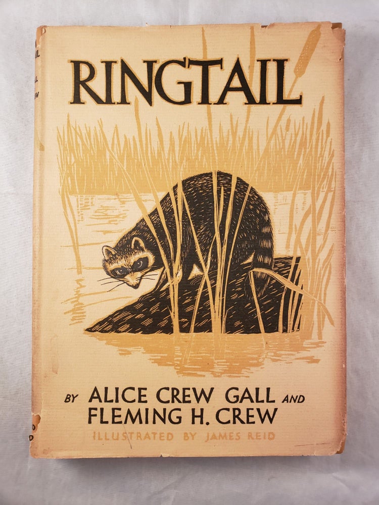 Item #43332 Ringtail. Alice Crew Gall, James Reid.