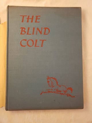 The Blind Colt