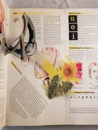 The Brain Pack An interactive, Three-dimensional exploration of the mysteries of the mind