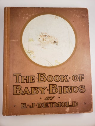 Item #43834 The Book Of Baby Birds. Mrs Thomas with Hardy, E. J. Detmold, Florence E. Dugdale