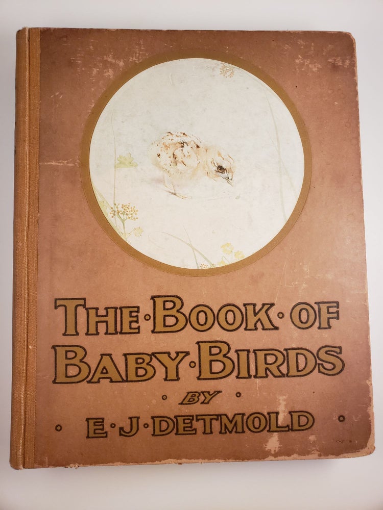 Item #43834 The Book Of Baby Birds. Mrs Thomas with Hardy, E. J. Detmold, Florence E. Dugdale.