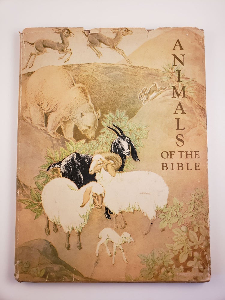 Item #44301 Animals Of The Bible. Dorothy P. with Lathrop, Helen Dean Fish.