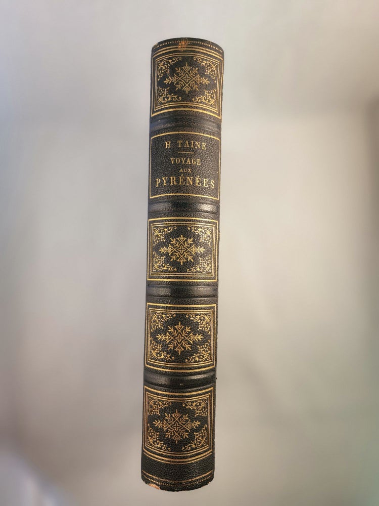 Item #45260 Voyage aux Pyrenees. H. et illustree par Gustave Dore Taine.