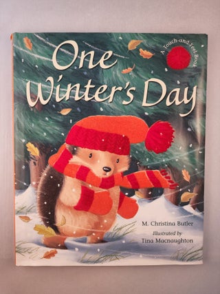 Item #45296 One Winter's Day A Touch and Feel Book. M. Christina Butler