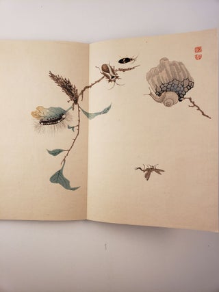 Shunkei’s Insects