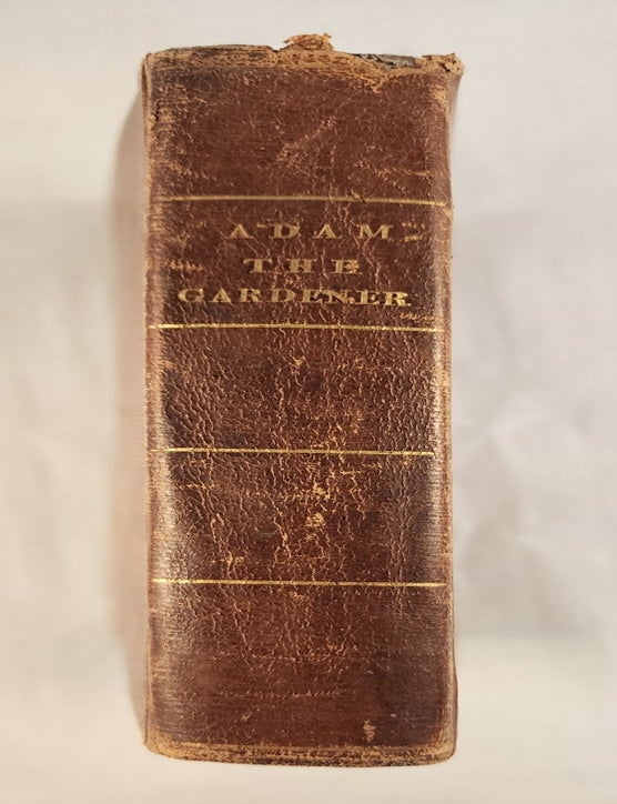 Item #46766 Adam, The Gardener. Charles Cowden Clarke.
