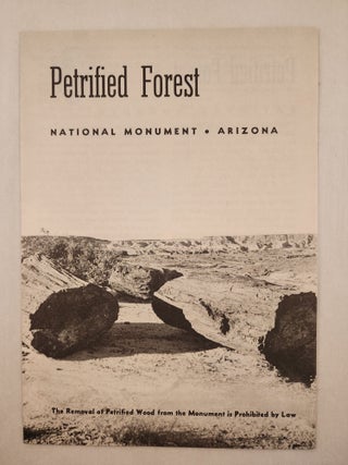 Item #47581 Petrified Forest National Monument Arizona