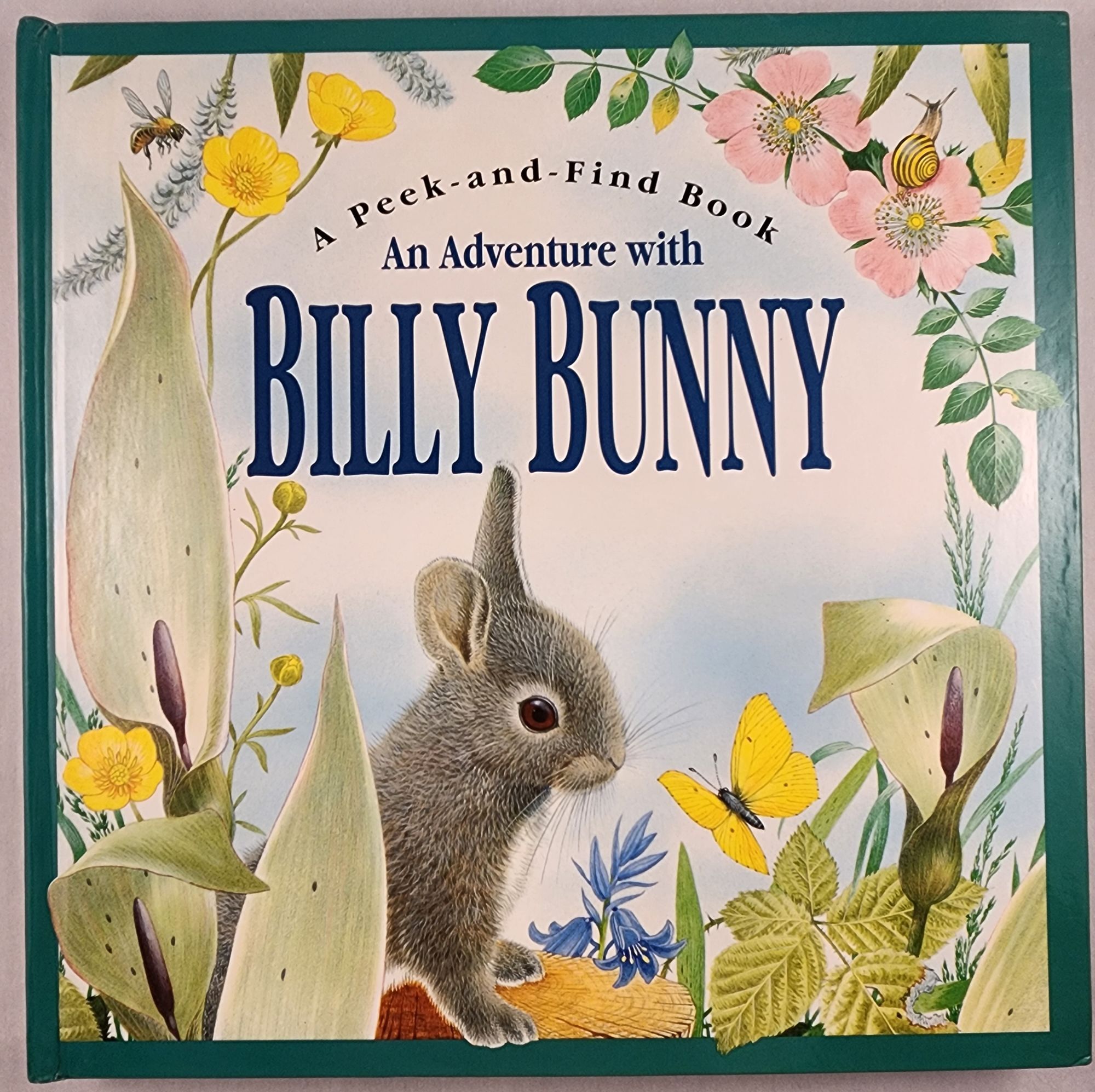 An Adventure with Billy Bunny A Peek-and-Find Book | Maurice Pledger